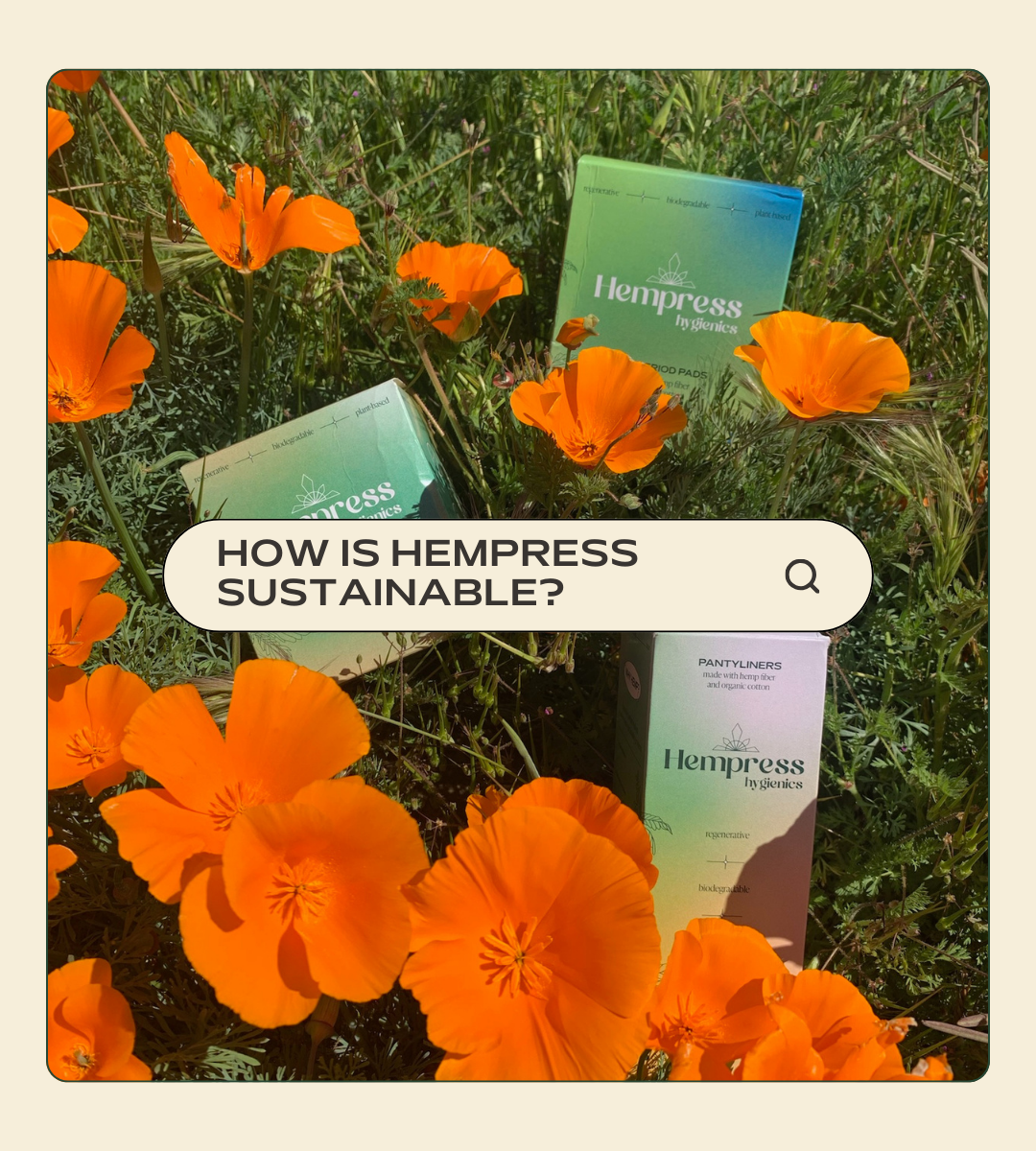 Why Hempress Pads Are the Most Sustainable on the Market